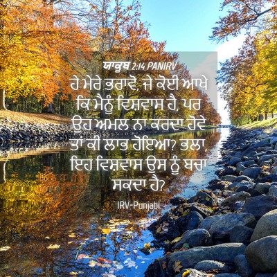 Picture 04 - ਯਾਕੂਬ 2:14 PANIRV - ਹੇ ਮੇਰੇ ਭਰਾਵੋ, ਜੇ - Bible Verse Picture
