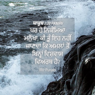 Picture 04 - ਯਾਕੂਬ 2:20 PANIRV - ਪਰ ਹੇ ਨਿਕੰਮਿਆ - Bible Verse Picture