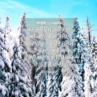 Picture 04 - ਯਾਕੂਬ 2:6 PANIRV - ਪਰ ਤੁਸੀਂ ਉਸ ਗਰੀਬ ਦਾ - Bible Verse Picture