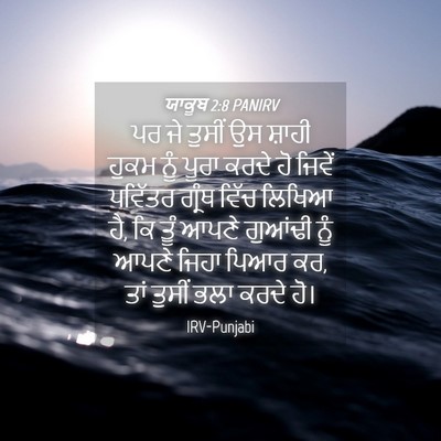 Picture 04 - ਯਾਕੂਬ 2:8 PANIRV - ਪਰ ਜੇ ਤੁਸੀਂ ਉਸ - Bible Verse Picture