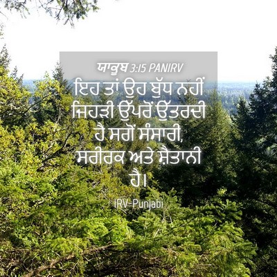 Picture 04 - ਯਾਕੂਬ 3:15 PANIRV - ਇਹ ਤਾਂ ਉਹ ਬੁੱਧ ਨਹੀਂ - Bible Verse Picture