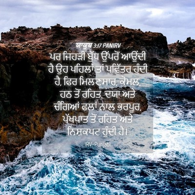 Picture 04 - ਯਾਕੂਬ 3:17 PANIRV - ਪਰ ਜਿਹੜੀ ਬੁੱਧ - Bible Verse Picture