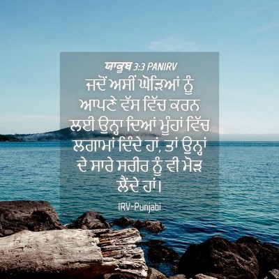 Picture 04 - ਯਾਕੂਬ 3:3 PANIRV - ਜਦੋਂ ਅਸੀਂ ਘੋੜਿਆਂ - Bible Verse Picture