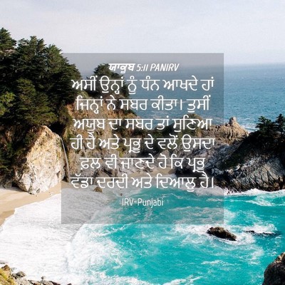 Picture 04 - ਯਾਕੂਬ 5:11 PANIRV - ਅਸੀਂ ਉਨ੍ਹਾਂ ਨੂੰ - Bible Verse Picture