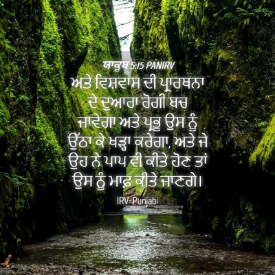 Picture 04 - ਯਾਕੂਬ 5:15 PANIRV - ਅਤੇ ਵਿਸ਼ਵਾਸ ਦੀ - Bible Verse Picture