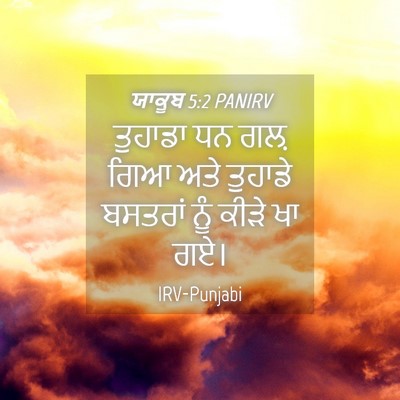Picture 04 - ਯਾਕੂਬ 5:2 PANIRV - ਤੁਹਾਡਾ ਧਨ ਗਲ਼ ਗਿਆ - Bible Verse Picture