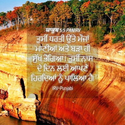 Picture 04 - ਯਾਕੂਬ 5:5 PANIRV - ਤੁਸੀਂ ਧਰਤੀ ਉੱਤੇ - Bible Verse Picture