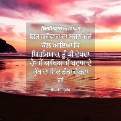 Picture 04 - ਯਿਰਮਿਯਾਹ 1:11 PANIRV - ਫਿਰ ਯਹੋਵਾਹ ਦਾ ਬਚਨ - Bible Verse Picture