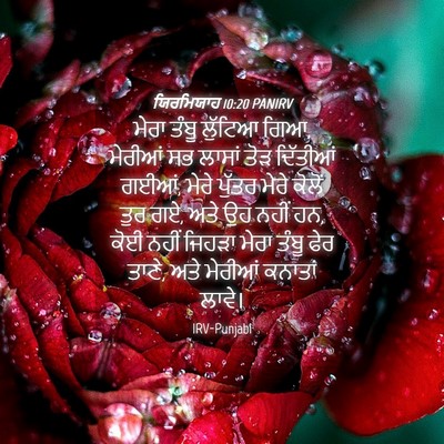 Picture 04 - ਯਿਰਮਿਯਾਹ 10:20 PANIRV - ਮੇਰਾ ਤੰਬੂ ਲੁੱਟਿਆ - Bible Verse Picture