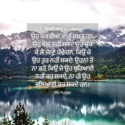 Picture 04 - ਯਿਰਮਿਯਾਹ 10:5 PANIRV - ਉਹ ਕਕੜੀਆਂ ਵਾਂਗੂੰ - Bible Verse Picture