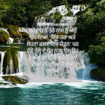 Picture 04 - ਯਿਰਮਿਯਾਹ 11:16 PANIRV - ਯਹੋਵਾਹ ਨੇ ਤੇਰੇ ਨਾਮ - Bible Verse Picture