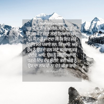 Picture 04 - ਯਿਰਮਿਯਾਹ 11:19 PANIRV - ਪਰ ਮੈਂ ਤਾਂ ਇੱਕ ਅਸੀਲ - Bible Verse Picture