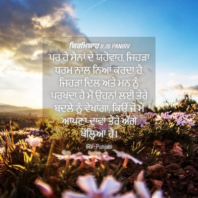 Picture 04 - ਯਿਰਮਿਯਾਹ 11:20 PANIRV - ਪਰ ਹੇ ਸੈਨਾਂ ਦੇ - Bible Verse Picture