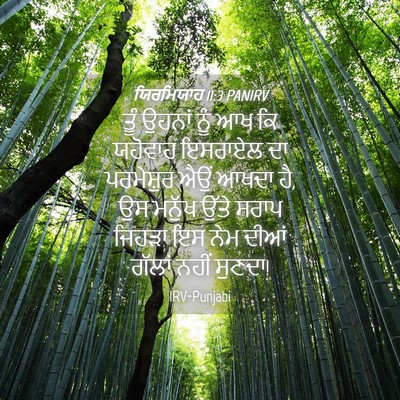Picture 04 - ਯਿਰਮਿਯਾਹ 11:3 PANIRV - ਤੂੰ ਉਹਨਾਂ ਨੂੰ ਆਖ ਕਿ - Bible Verse Picture