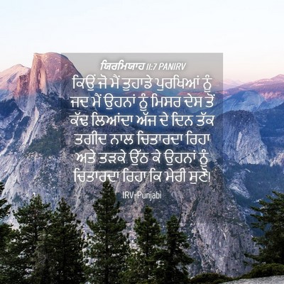 Picture 04 - ਯਿਰਮਿਯਾਹ 11:7 PANIRV - ਕਿਉਂ ਜੋ ਮੈਂ ਤੁਹਾਡੇ - Bible Verse Picture