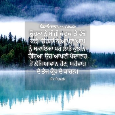 Picture 04 - ਯਿਰਮਿਯਾਹ 12:13 PANIRV - ਉਹਨਾਂ ਨੇ ਬੀਜੀ ਕਣਕ, - Bible Verse Picture