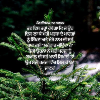 Picture 04 - ਯਿਰਮਿਯਾਹ 12:16 PANIRV - ਤਦ ਇਸ ਤਰ੍ਹਾਂ - Bible Verse Picture
