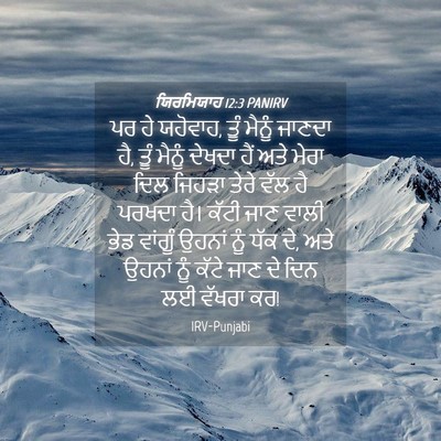 Picture 04 - ਯਿਰਮਿਯਾਹ 12:3 PANIRV - ਪਰ ਹੇ ਯਹੋਵਾਹ, ਤੂੰ - Bible Verse Picture