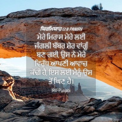 Picture 04 - ਯਿਰਮਿਯਾਹ 12:8 PANIRV - ਮੇਰੇ ਮਿਰਾਸ ਮੇਰੇ ਲਈ - Bible Verse Picture