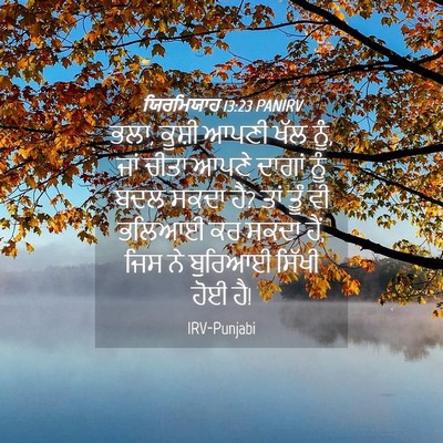 Picture 04 - ਯਿਰਮਿਯਾਹ 13:23 PANIRV - ਭਲਾ, ਕੂਸ਼ੀ ਆਪਣੀ ਖੱਲ - Bible Verse Picture