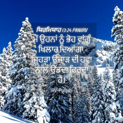 Picture 04 - ਯਿਰਮਿਯਾਹ 13:24 PANIRV - ਮੈਂ ਉਹਨਾਂ ਨੂੰ ਭੋਹ - Bible Verse Picture