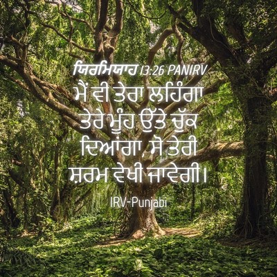Picture 04 - ਯਿਰਮਿਯਾਹ 13:26 PANIRV - ਮੈਂ ਵੀ ਤੇਰਾ ਲਹਿੰਗਾ - Bible Verse Picture