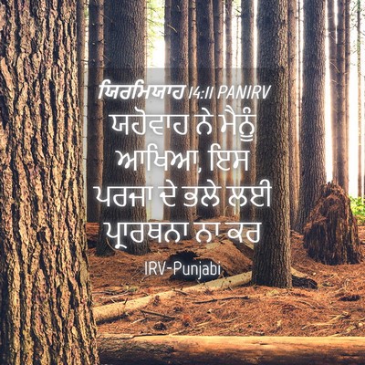 Picture 04 - ਯਿਰਮਿਯਾਹ 14:11 PANIRV - ਯਹੋਵਾਹ ਨੇ ਮੈਨੂੰ - Bible Verse Picture