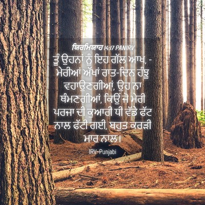 Picture 04 - ਯਿਰਮਿਯਾਹ 14:17 PANIRV - ਤੂੰ ਉਹਨਾਂ ਨੂੰ ਇਹ - Bible Verse Picture