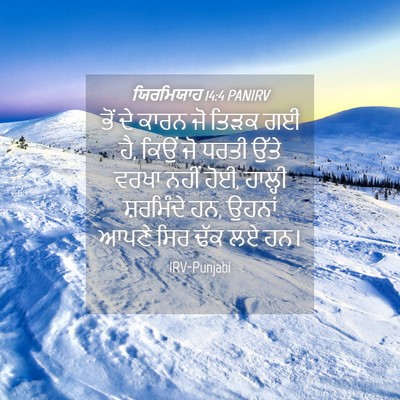 Picture 04 - ਯਿਰਮਿਯਾਹ 14:4 PANIRV - ਭੋਂ ਦੇ ਕਾਰਨ ਜੋ ਤਿੜਕ - Bible Verse Picture