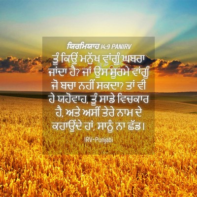 Picture 04 - ਯਿਰਮਿਯਾਹ 14:9 PANIRV - ਤੂੰ ਕਿਉਂ ਮਨੁੱਖ - Bible Verse Picture