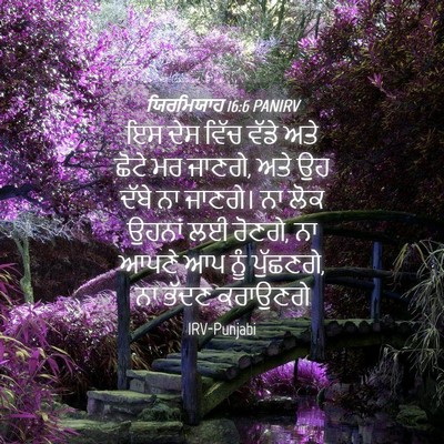 Picture 04 - ਯਿਰਮਿਯਾਹ 16:6 PANIRV - ਇਸ ਦੇਸ ਵਿੱਚ ਵੱਡੇ - Bible Verse Picture