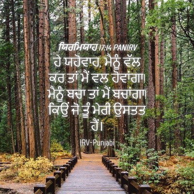 Picture 04 - ਯਿਰਮਿਯਾਹ 17:14 PANIRV - ਹੇ ਯਹੋਵਾਹ, ਮੈਨੂੰ - Bible Verse Picture