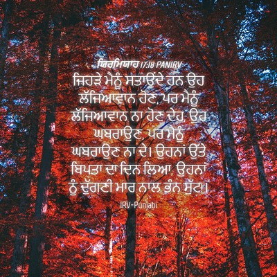 Picture 04 - ਯਿਰਮਿਯਾਹ 17:18 PANIRV - ਜਿਹੜੇ ਮੈਨੂੰ - Bible Verse Picture