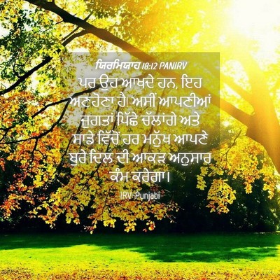 Picture 04 - ਯਿਰਮਿਯਾਹ 18:12 PANIRV - ਪਰ ਉਹ ਆਖਦੇ ਹਨ, ਇਹ - Bible Verse Picture