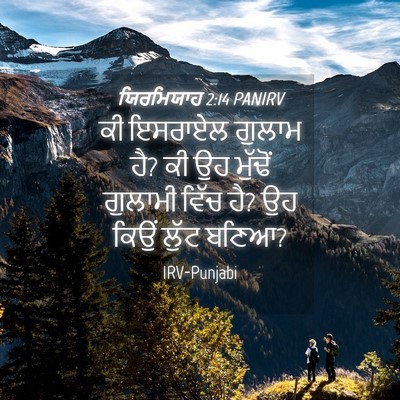 Picture 04 - ਯਿਰਮਿਯਾਹ 2:14 PANIRV - ਕੀ ਇਸਰਾਏਲ ਗੁਲਾਮ ਹੈ? - Bible Verse Picture