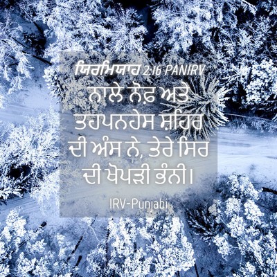 Picture 04 - ਯਿਰਮਿਯਾਹ 2:16 PANIRV - ਨਾਲੇ ਨੋਫ਼ ਅਤੇ - Bible Verse Picture