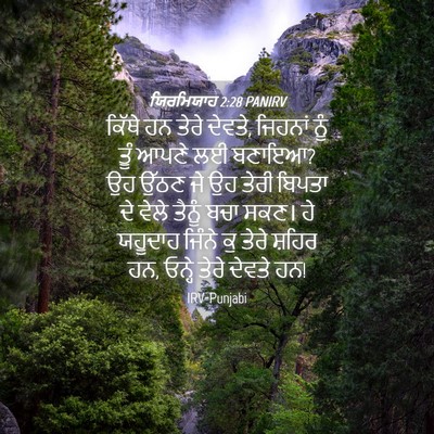 Picture 04 - ਯਿਰਮਿਯਾਹ 2:28 PANIRV - ਕਿੱਥੇ ਹਨ ਤੇਰੇ - Bible Verse Picture