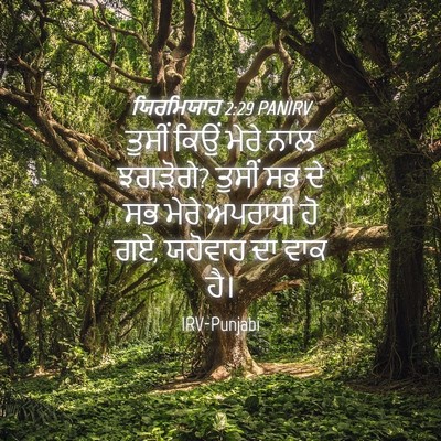Picture 04 - ਯਿਰਮਿਯਾਹ 2:29 PANIRV - ਤੁਸੀਂ ਕਿਉਂ ਮੇਰੇ - Bible Verse Picture