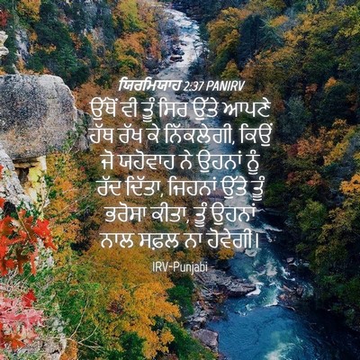 Picture 04 - ਯਿਰਮਿਯਾਹ 2:37 PANIRV - ਉੱਥੋਂ ਵੀ ਤੂੰ ਸਿਰ - Bible Verse Picture