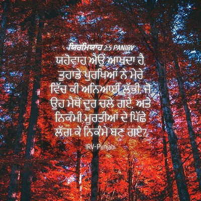 Picture 04 - ਯਿਰਮਿਯਾਹ 2:5 PANIRV - ਯਹੋਵਾਹ ਐਉਂ ਆਖਦਾ ਹੈ, - Bible Verse Picture