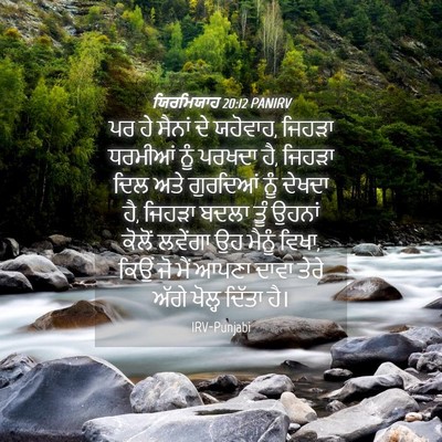 Picture 04 - ਯਿਰਮਿਯਾਹ 20:12 PANIRV - ਪਰ ਹੇ ਸੈਨਾਂ ਦੇ - Bible Verse Picture