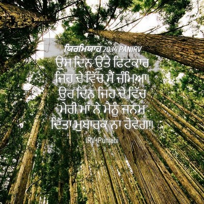 Picture 04 - ਯਿਰਮਿਯਾਹ 20:14 PANIRV - ਉਸ ਦਿਨ ਉੱਤੇ ਫਿਟਕਾਰ - Bible Verse Picture