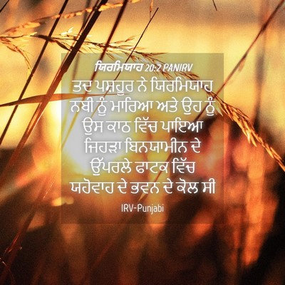 Picture 04 - ਯਿਰਮਿਯਾਹ 20:2 PANIRV - ਤਦ ਪਸ਼ਹੂਰ ਨੇ - Bible Verse Picture