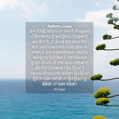 Picture 04 - ਯਿਰਮਿਯਾਹ 21:7 PANIRV - ਇਸ ਤੋਂ ਪਿੱਛੋਂ, - Bible Verse Picture