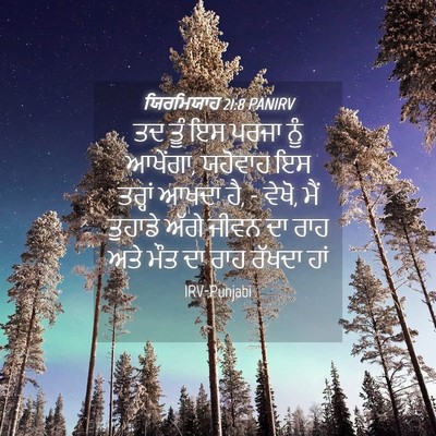 Picture 04 - ਯਿਰਮਿਯਾਹ 21:8 PANIRV - ਤਦ ਤੂੰ ਇਸ ਪਰਜਾ ਨੂੰ - Bible Verse Picture