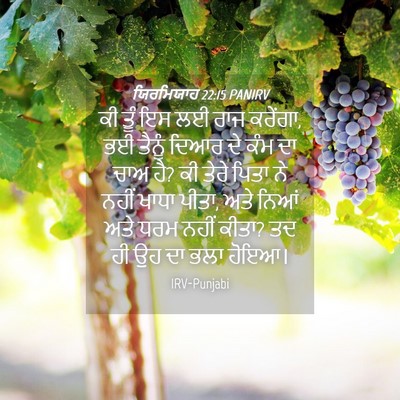 Picture 04 - ਯਿਰਮਿਯਾਹ 22:15 PANIRV - ਕੀ ਤੂੰ ਇਸ ਲਈ ਰਾਜ - Bible Verse Picture