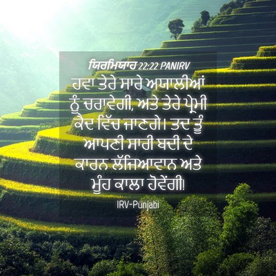 Picture 04 - ਯਿਰਮਿਯਾਹ 22:22 PANIRV - ਹਵਾ ਤੇਰੇ ਸਾਰੇ - Bible Verse Picture
