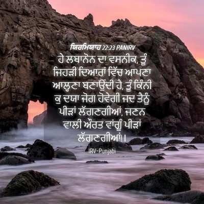 Picture 04 - ਯਿਰਮਿਯਾਹ 22:23 PANIRV - ਹੇ ਲਬਾਨੋਨ ਦਾ ਵਸਨੀਕ, - Bible Verse Picture