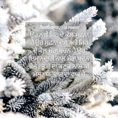 Picture 04 - ਯਿਰਮਿਯਾਹ 23:28 PANIRV - ਉਹ ਨਬੀ ਜਿਹ ਦੇ ਕੋਲ - Bible Verse Picture