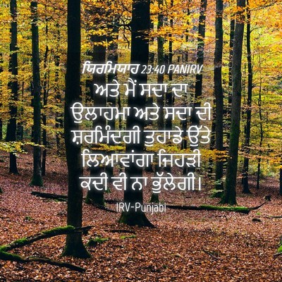 Picture 04 - ਯਿਰਮਿਯਾਹ 23:40 PANIRV - ਅਤੇ ਮੈਂ ਸਦਾ ਦਾ - Bible Verse Picture